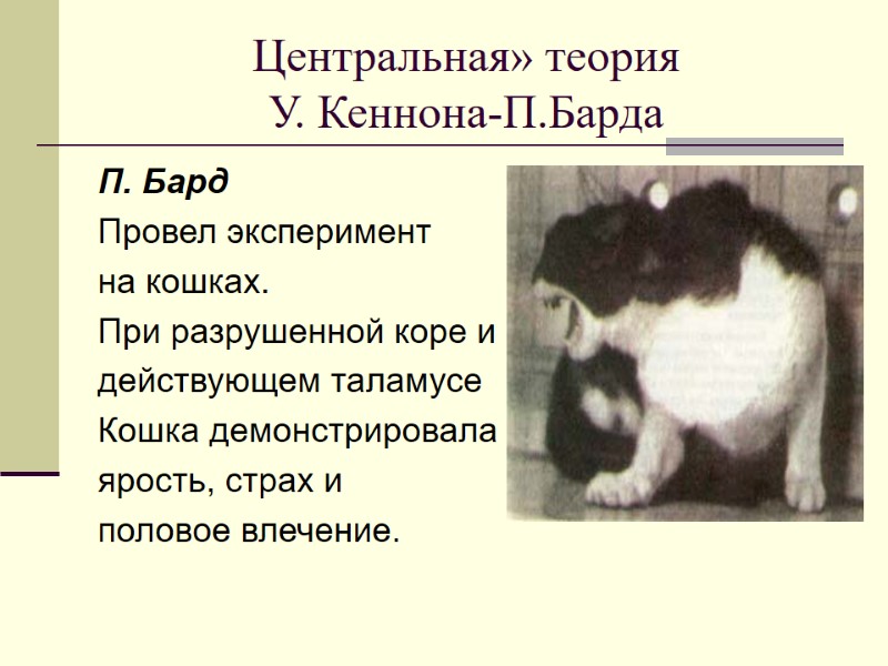 Центральная» теория У. Кеннона-П.Барда П. Бард Провел эксперимент  на кошках. При разрушенной коре